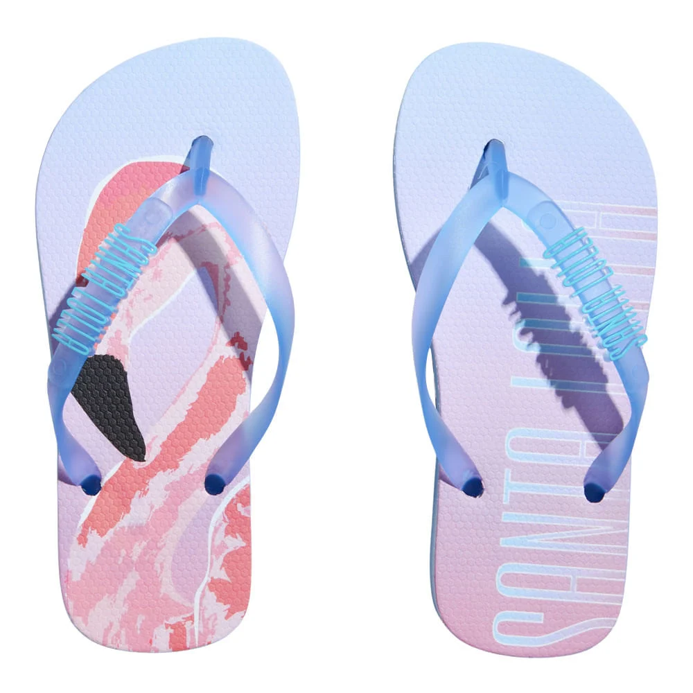 Flip Flop Borracha Azul Bebe - vista 5 de 5